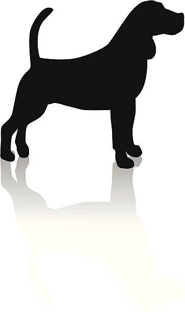 beagle silhouette vector art illustration