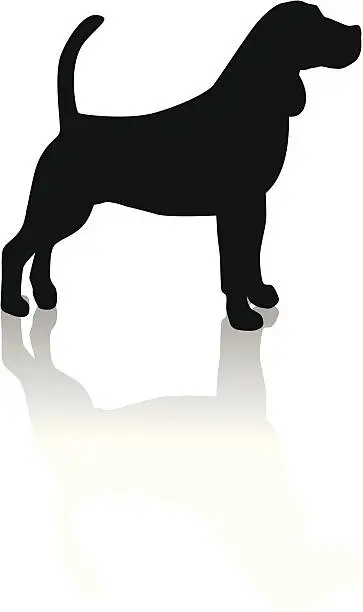 Vector illustration of beagle silhouette