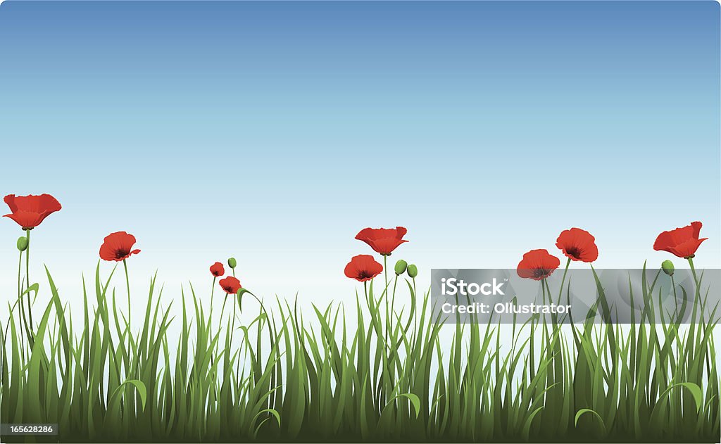 Poppies в Ясное утро небо - Векторная графика Мак - растение роялти-фри