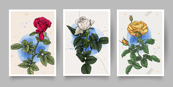 Rose flower wall art vector set. Golden foliage line art drawing with watercolor. Abstract Plant Art design for wall framed prints, canvas prints, poster, home décor, cover, wallpaper.