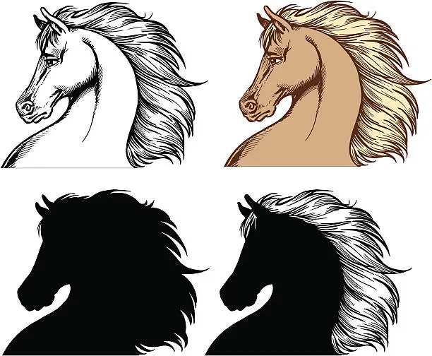 Vector illustration of Horse heads