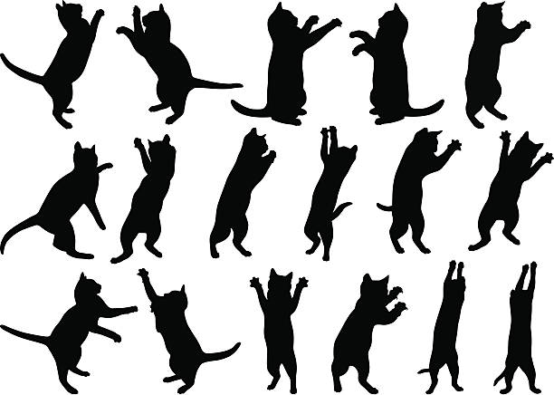 katzen - cats stock-grafiken, -clipart, -cartoons und -symbole