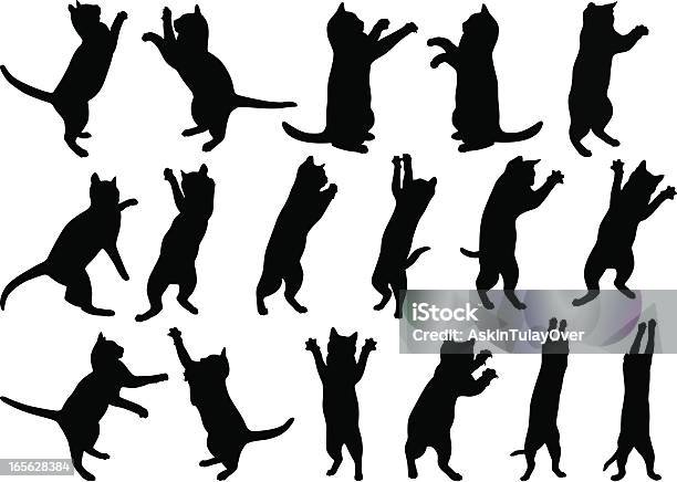 Cats — стоковая векторная графика и другие изображения на тему Домашняя кошка - Домашняя кошка, Силуэт, Векторная графика