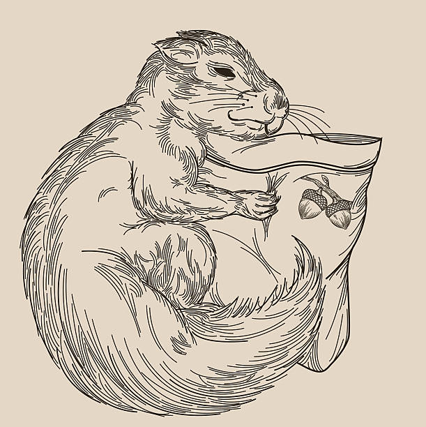 ilustrações, clipart, desenhos animados e ícones de sleepy esquilo cuddling seu travesseiro - letterpress animal line art squirrel