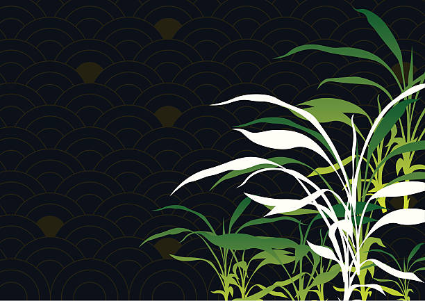 ilustraciones, imágenes clip art, dibujos animados e iconos de stock de oriental fondo de bambú - bamboo bamboo shoot pattern backgrounds
