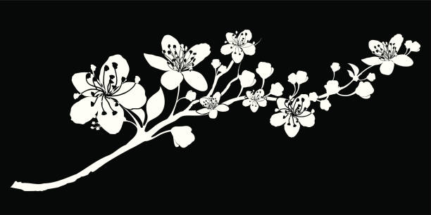 delicate sylwetka oddziału abloom - abloom stock illustrations