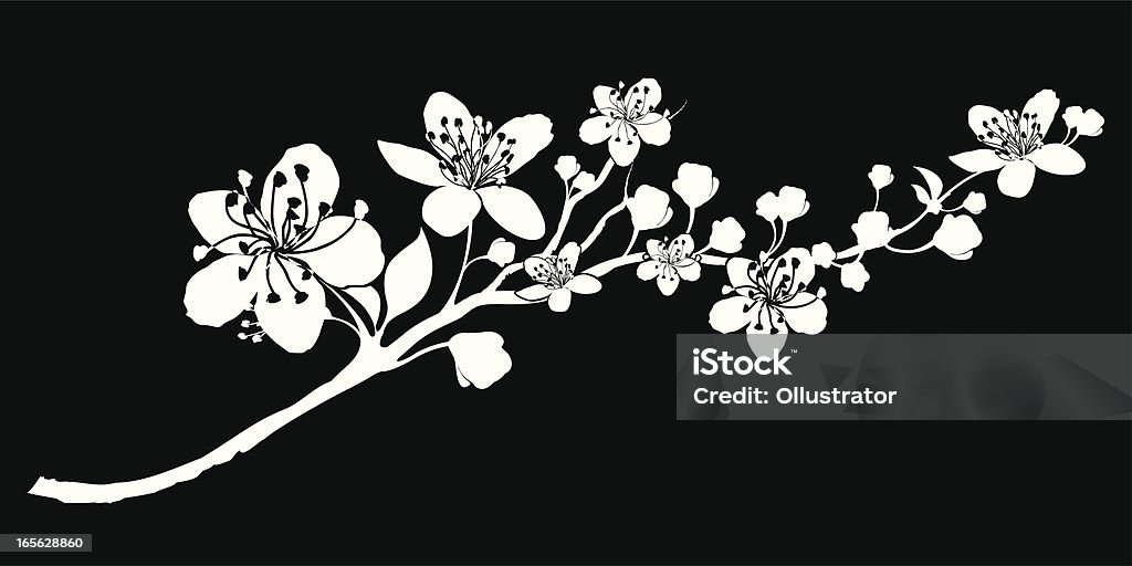Delicate Silhouette of a branch abloom Cherry Blossom stock vector