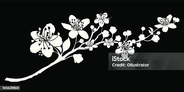 Delicate Silhouette Of A Branch Abloom Stock Illustration - Download Image Now - Cherry Blossom, Vector, Branch - Plant Part