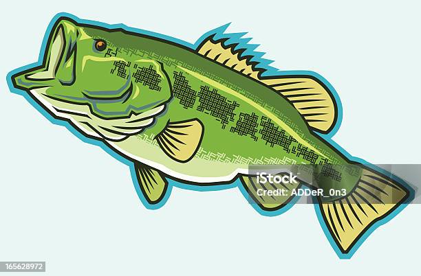 Большой Olбас — стоковая векторная графика и другие изображения на тему Дикий полосатый окунь - Дикий полосатый окунь, Рыба, Большеротый окунь