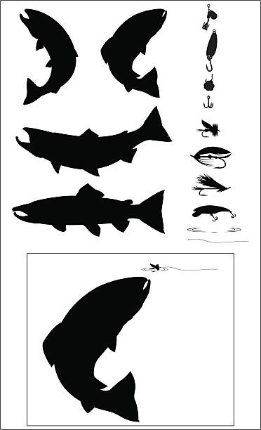 Sport Fishing Silhouette set vector illustration of a set of various sport fishing silhouettes. You can make your own arrangements, just like the example shown. fishing line illustrations stock illustrations