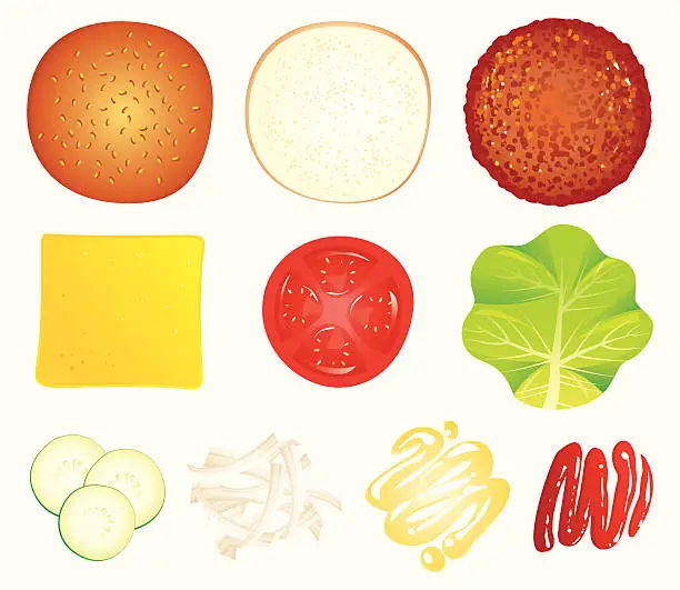 Vector illustration of ingredients of a hamburger