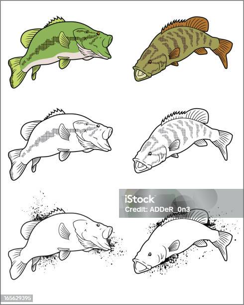 Forellen Und Schwarzbarsche Stock Vektor Art und mehr Bilder von Fisch - Fisch, Angelausrüstung, Angeln