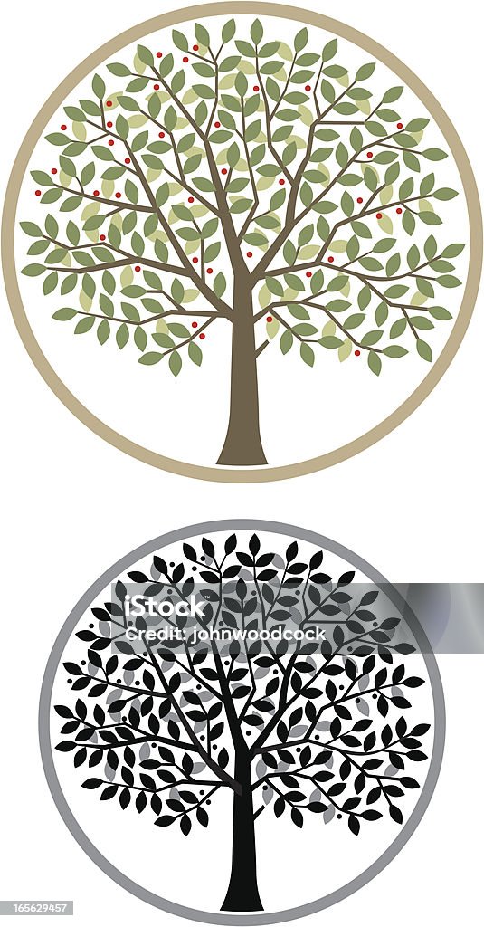 Round Tree Example Little Round Tree Stock Illustration - Download Image Now - Circle ...