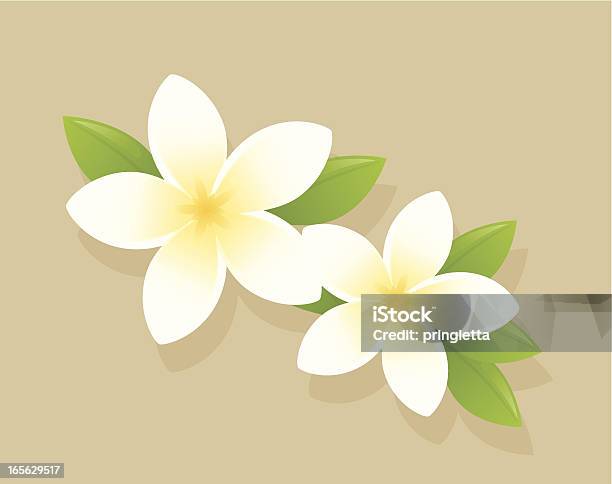 Ilustración de Frangipani y más Vectores Libres de Derechos de Amarillo - Color - Amarillo - Color, Blanco - Color, Flor