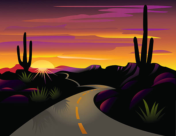 Colorful vector illustration of cacti and desert highway Illustration of highway through desert with Suguaro cactus, mountains and sun. Contains AI and jpg. new mexico landscape stock illustrations
