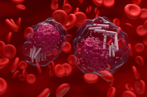 Chronic lymphocytic leukemia (CLL) cells in blood flow - closeup view 3d illustration stock photo