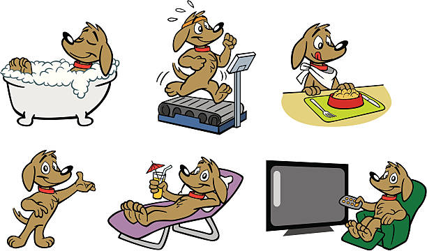 ilustrações de stock, clip art, desenhos animados e ícones de spa canino - dog bathtub washing puppy