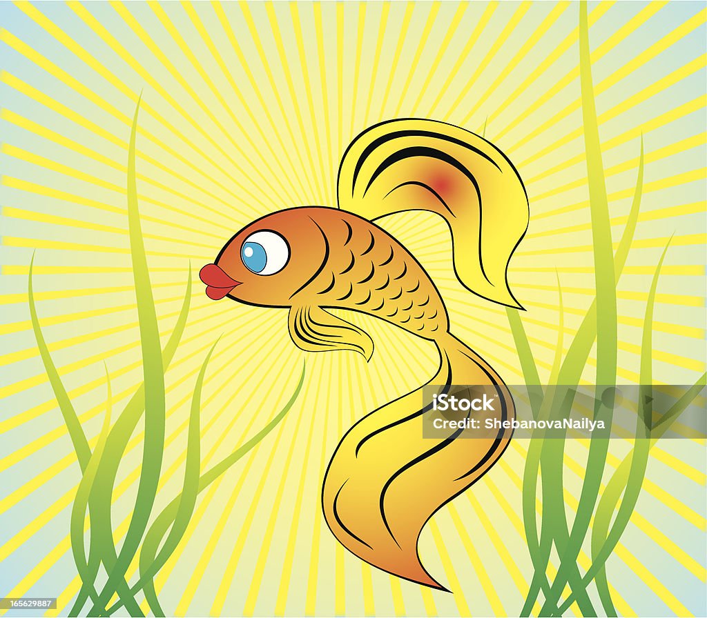 Beautiful gold fish Beautiful gold fish in an aquarium with green seaweed Animal stock vector