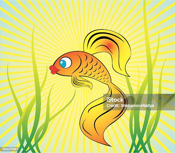 Beautiful Gold Fish Stock Illustration - Download Image Now - Animal, Animal Body Part, Animal Head