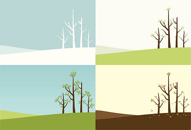 ilustraciones, imágenes clip art, dibujos animados e iconos de stock de temporada de árboles - rolling landscape illustrations
