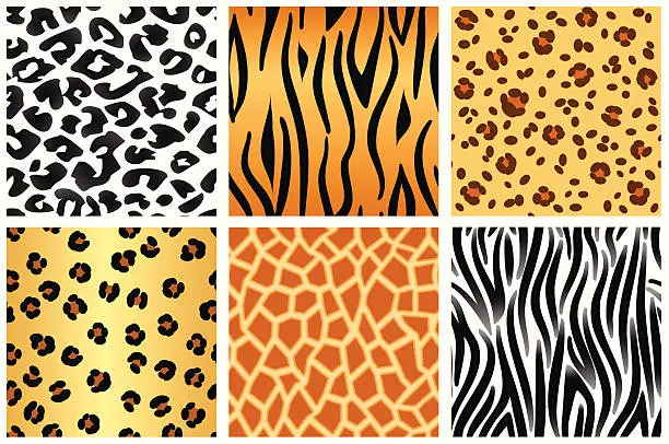 Vector illustration of Animal patterns