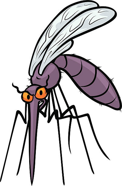 356 Angry Mosquito Cartoon Illustrations & Clip Art - iStock