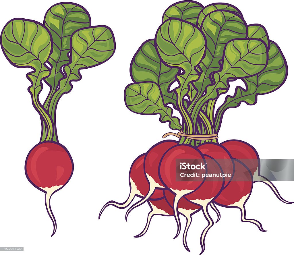 Radishes - 로열티 프리 무 벡터 아트