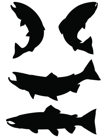 vector illustration of Salmon and Trout silhouettes. 