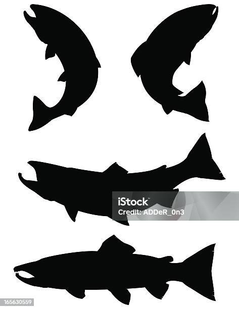 Trout And Salmon Silhouettes Stock Illustration - Download Image Now - Salmon - Animal, Fish, Icon Symbol