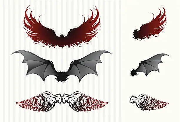 Vector illustration of Wing collection