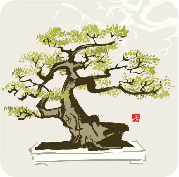 Vector illustration of Bonsai Tree