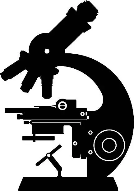 Vector illustration of microscope silhouette