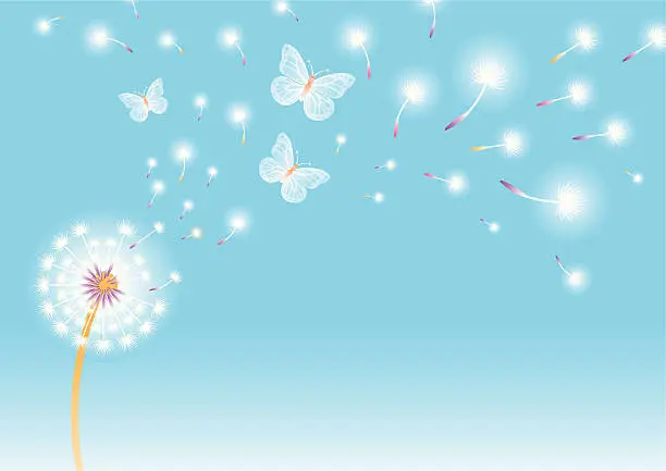 Vector illustration of Dandelion with butterflies