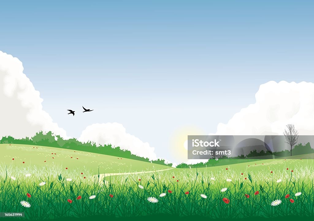 Feld mit wilden Blumen - Lizenzfrei Landschaft Vektorgrafik