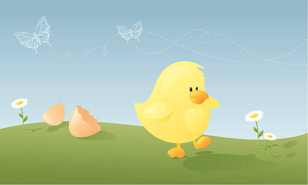 новый день - animal egg chicken new cracked stock illustrations