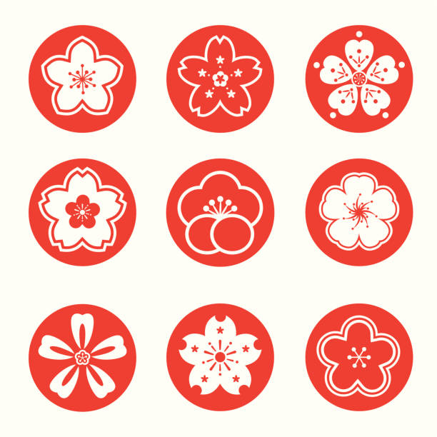 sakura graphic vector art illustration