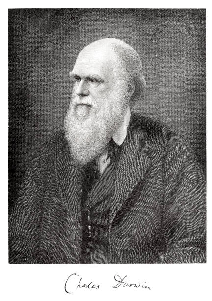 gravieren der wissenschaftler charles darwin aus 1882 mit charakteristischen - charles darwin engraved image old fashioned etching stock-grafiken, -clipart, -cartoons und -symbole