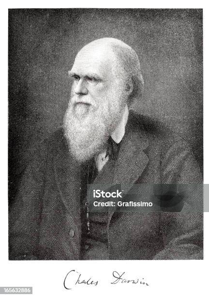 Gravação Do Cientista Charles Darwin De 1882 Com A Assinatura - Arte vetorial de stock e mais imagens de Charles Darwin - Naturalista