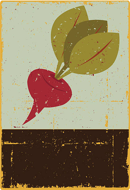 burak znak - vegetable beet vegetable garden woodcut stock illustrations