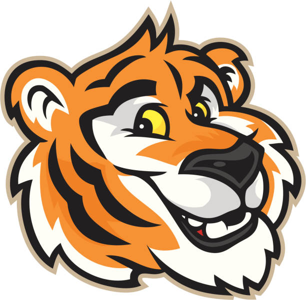 Tiger Mascot Head This Tiger Mascot is great for any school mascot. It also comes with an easy to use black and white version. tiger mascot stock illustrations