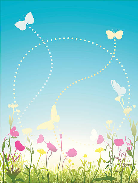 Morning poppy field poppy field and flying butterflies.  Glade stock illustrations
