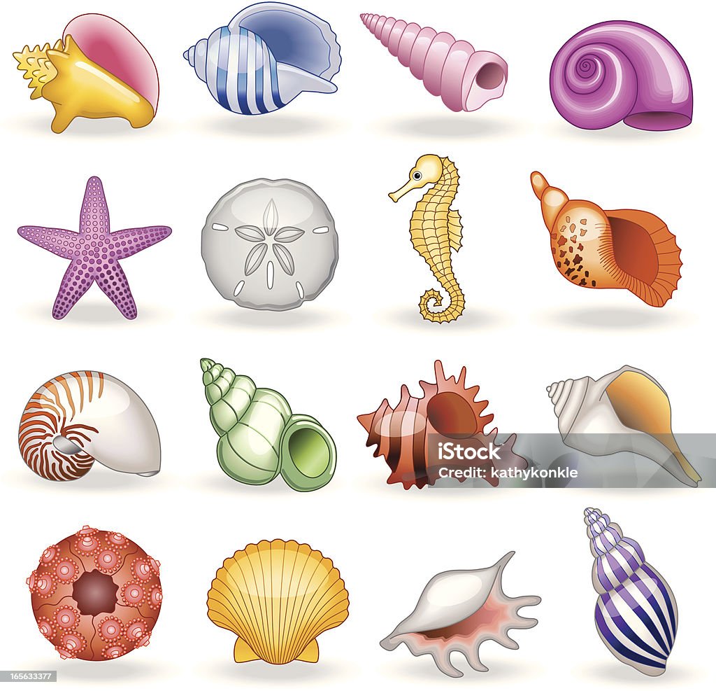 shell shop A vector illustration of seashells that you would find in a shell shop. Vector stock vector