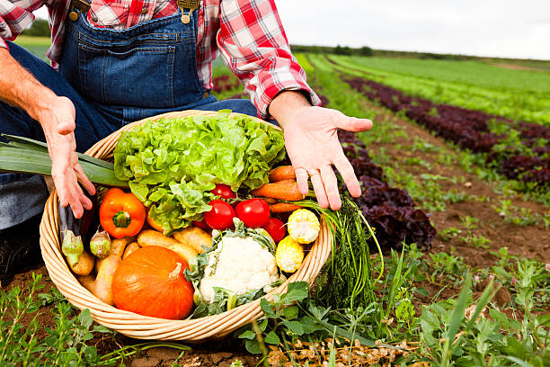 istock farmer showing his produce 165633380