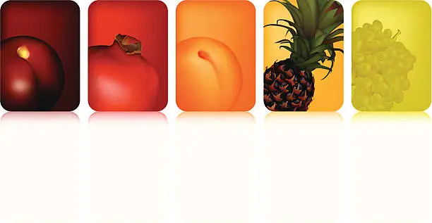 Vector illustration of Fruits Icons II