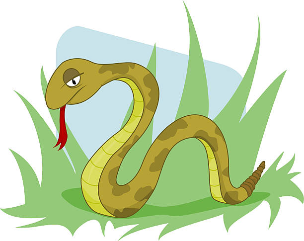 Serpent vector art illustration