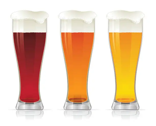 Vector illustration of Three graphics of different types of beer