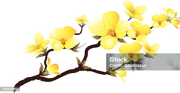 Желтый Ветвь Abloom — стоковая векторная графика и другие изображения на тему Цветок - Цветок, Жёлтый, Белый фон