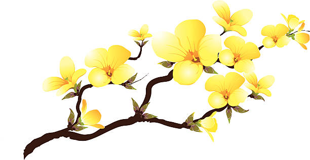Yellow branch abloom vector art illustration