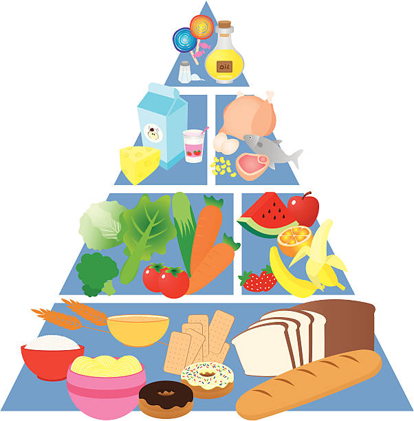 Colorful food pyramid with images of each food group vector art illustration