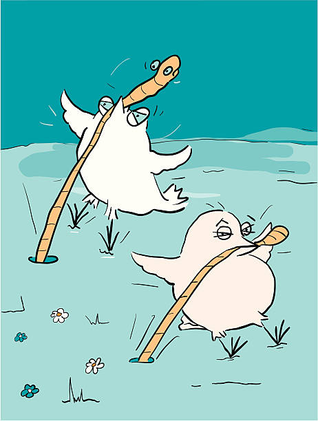 Bird Brains - Tug of War A cartoon of two birds having a tug of war over a poor worm. Drawn in a hand drawn scribbly style. Birds and background are on separate layers. Pdf and jpg files are included. birdbrain stock illustrations
